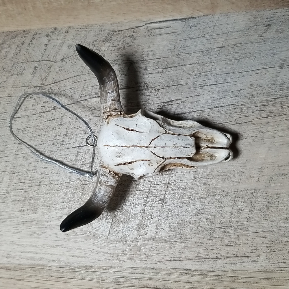 Steer Skull / Long Horn Skull Christmas Ornament